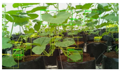 Analyzing the Impact of Histogram-Based Image Preprocessing on Melon Leaf Abnormality Detection Using YOLOv7