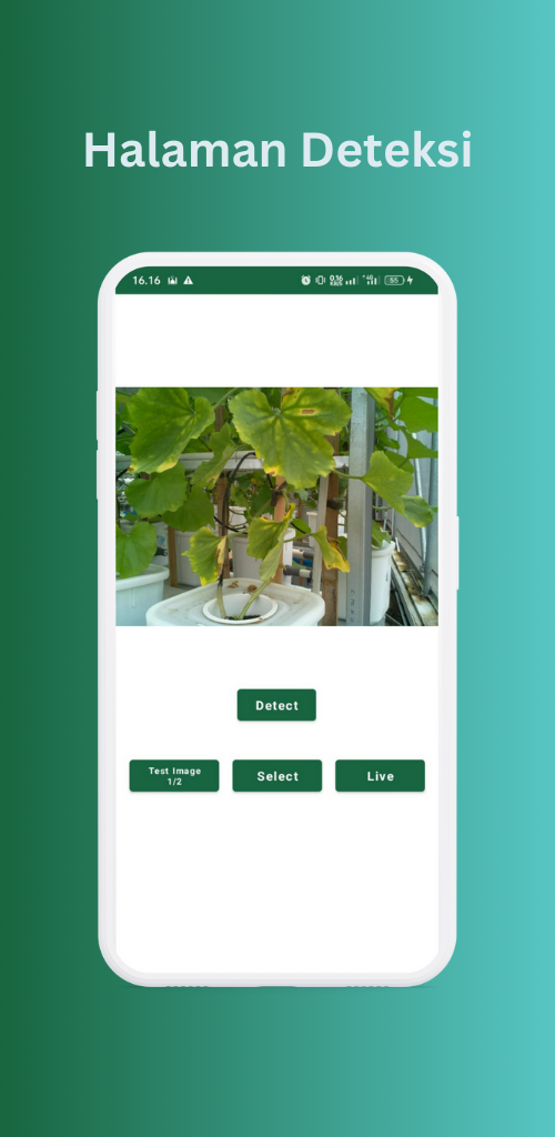 Screenshot of Melo Analytics